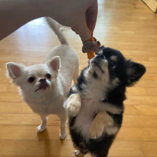 날라차기님이 올린 리뷰 사진 4