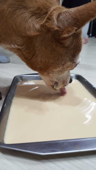 유진오님이 올린 리뷰 사진 4