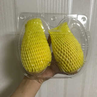 cho님이 올린 리뷰 사진 2