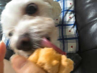 짓우님이 올린 리뷰 사진 2