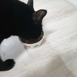 찌나님이 올린 리뷰 사진 4