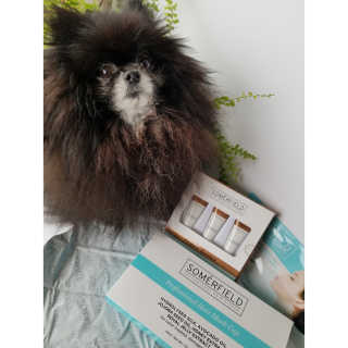 Peepingpomeranian님이 올린 리뷰 사진 1