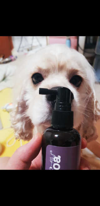 조소민님이 올린 리뷰 사진 1