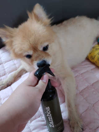 이은미님이 올린 리뷰 사진 1