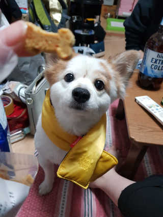 EunsolKim님이 올린 리뷰 사진 1