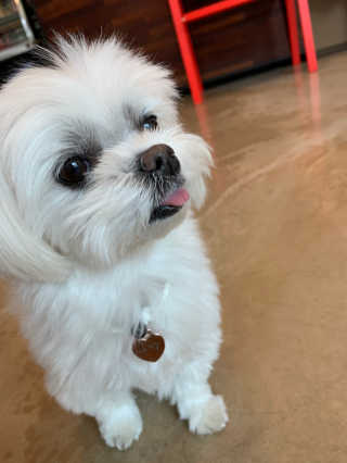 외모되죠님이 올린 리뷰 사진 2