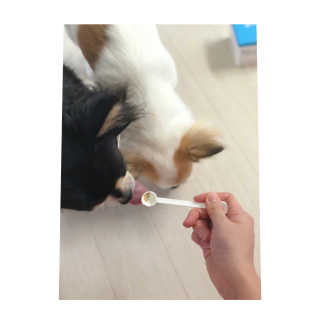 은쓸님이 올린 리뷰 사진 3