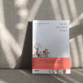제이미님이 올린 리뷰 사진 1