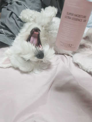 박혜림님이 올린 리뷰 사진 2