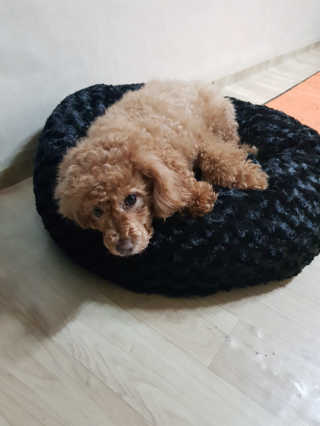 csong님이 올린 리뷰 사진 3