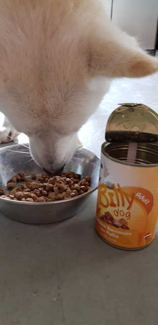 Jenny님이 올린 리뷰 사진 2