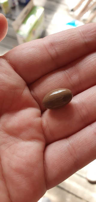 콩콩이님이 올린 리뷰 사진 3