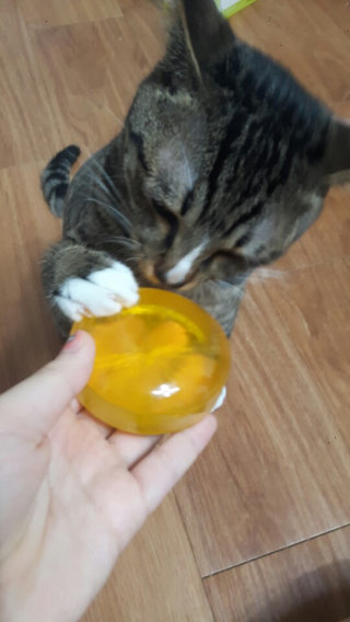 캣찹님이 올린 리뷰 사진 1