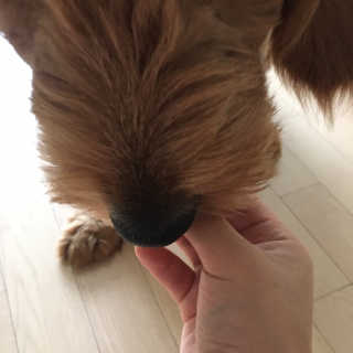 Hee님이 올린 리뷰 사진 3