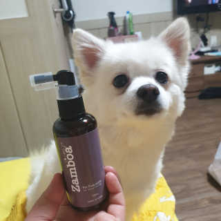 유진님이 올린 리뷰 사진 1