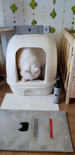 영니님이 올린 리뷰 사진 1
