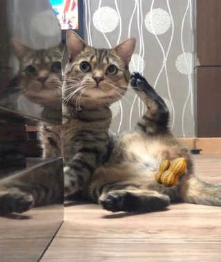 durimam님이 올린 리뷰 사진 1