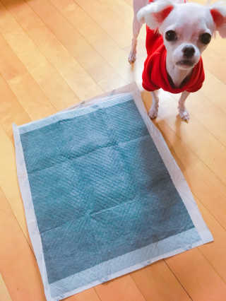 쮸동비님이 올린 리뷰 사진 1