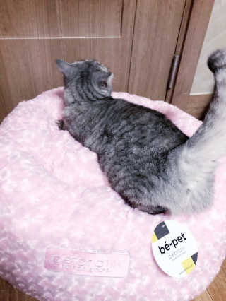 jinvely님이 올린 리뷰 사진 4