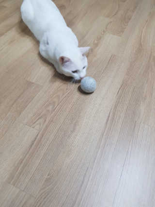 ʜᴊ7201님이 올린 리뷰 사진 3