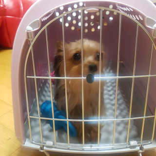 렌냥님이 올린 리뷰 사진 3
