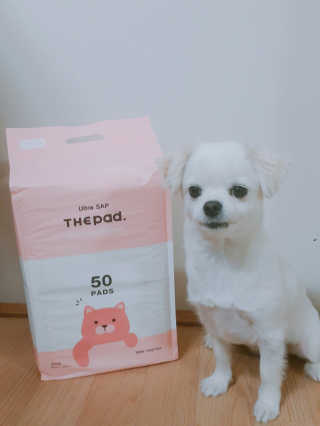 예진님이 올린 리뷰 사진 1