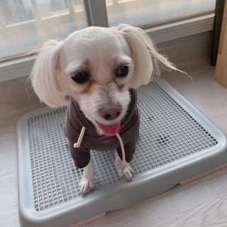챔미님이 올린 리뷰 사진 4