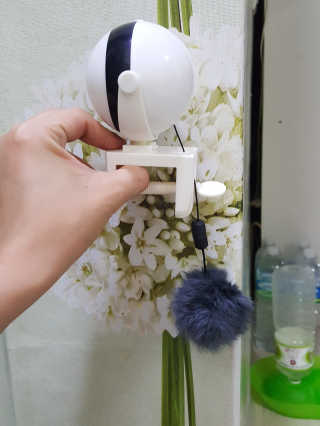 발라당님이 올린 리뷰 사진 4