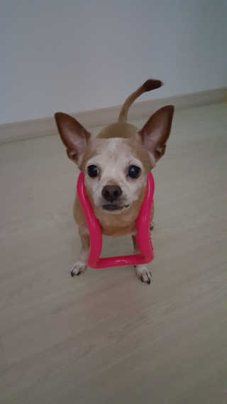 유진오님이 올린 리뷰 사진 2