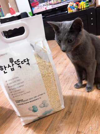 [펫토리아]한삽뚝딱 프리미엄 고양이 두부모래 — 3점을 준 리뷰어가 2019년 8월 올린 사용 사진