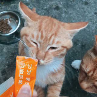 sseung님이 올린 리뷰 사진 1