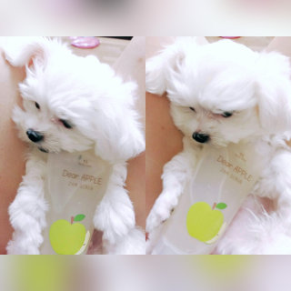 뚜동뚜동해님이 올린 리뷰 사진 2