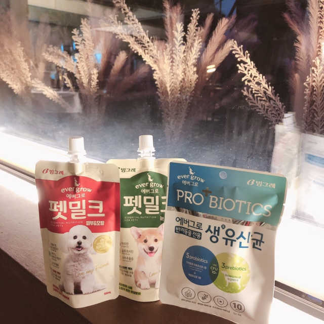 [빙그레] 에버그로 생유산균 1봉（10포입）+펫밀크2팩 리뷰 사진