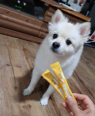 진진님이 올린 리뷰 사진 3