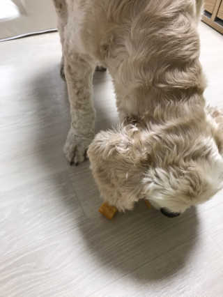 멋쟁이지휘관님이 올린 리뷰 사진 3