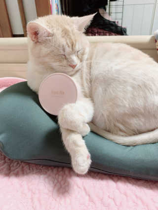 시리꽃님이 올린 리뷰 사진 1