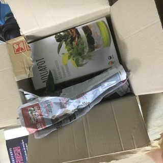 에어톡스 아쿠아팟 식물형 공기정화기 — 1점을 준 리뷰어가 2018년 6월 올린 사용 사진