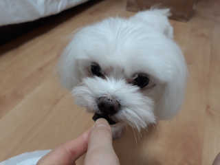 다뚠님이 올린 리뷰 사진 3