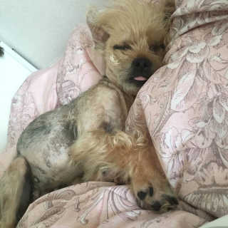 아라아빠님이 올린 리뷰 사진 3