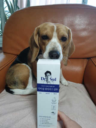 beaglelove님이 올린 리뷰 사진 1