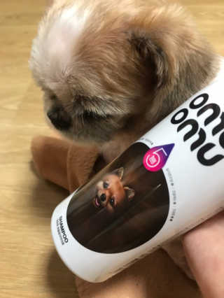 스마일뇽뇽님이 올린 리뷰 사진 3