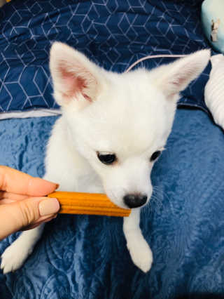 runa님이 올린 리뷰 사진 4