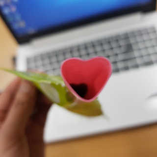 Jamie님이 올린 리뷰 사진 2