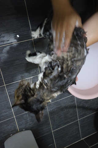9님이 올린 리뷰 사진 3
