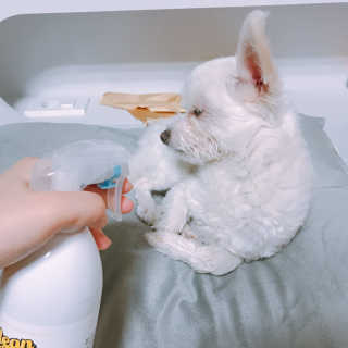 수톨님이 올린 리뷰 사진 4