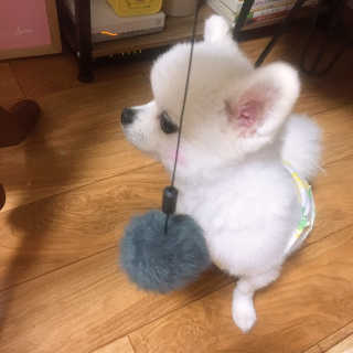 백설님이 올린 리뷰 사진 1