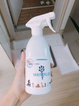 울몽돌님이 올린 리뷰 사진 1