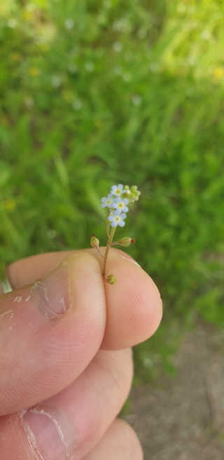 모모맘님이 올린 리뷰 사진 3
