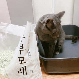 꽃길만걷자탄아님이 올린 리뷰 사진 3