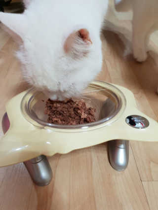 라임님이 올린 리뷰 사진 2